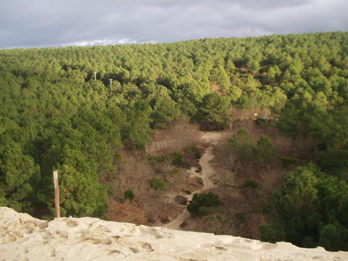 Les Amandiers Biscarrosse Exterior photo